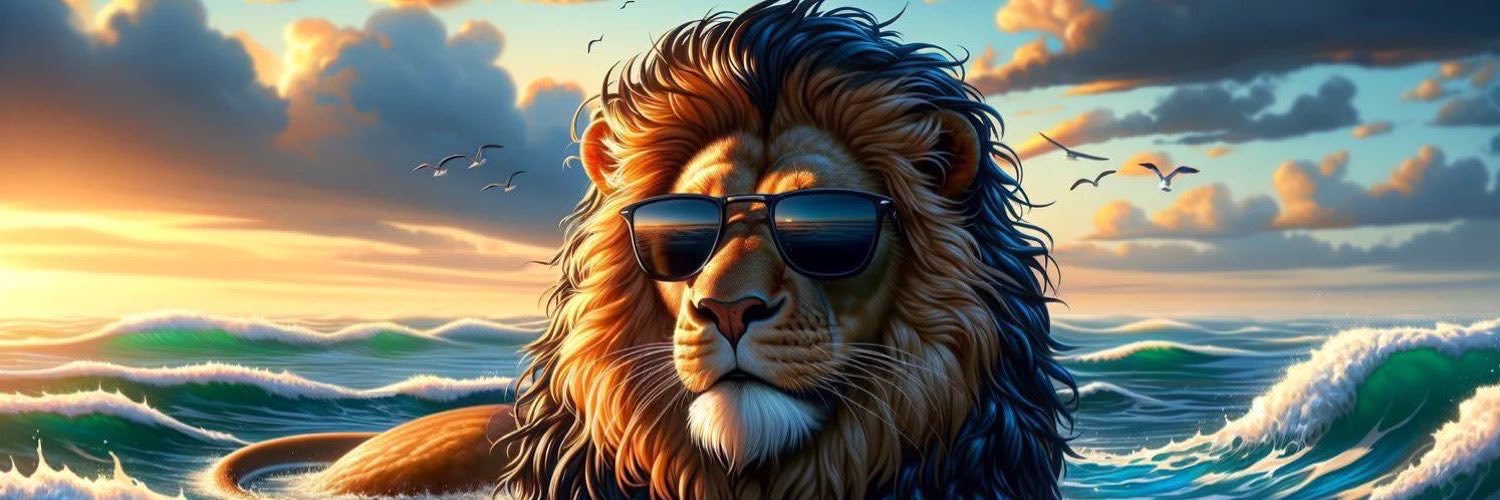 erdemdincerr's profile banner image