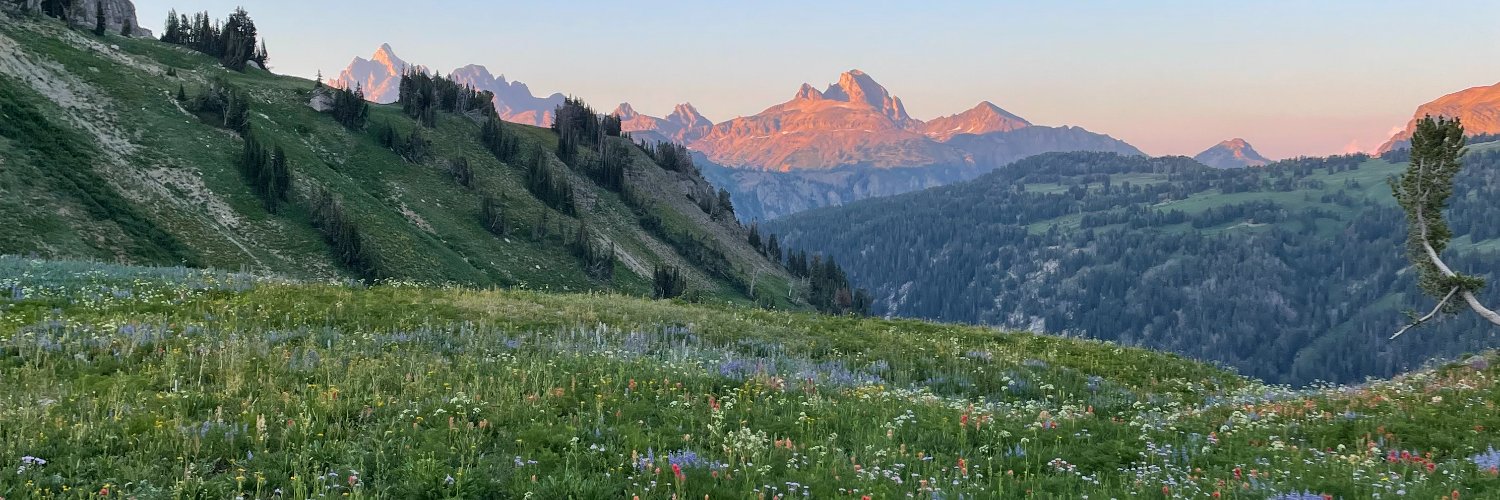 Tessa Pulaski banner
