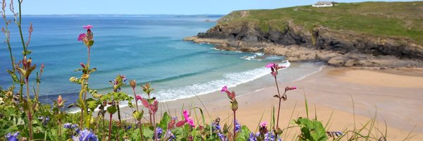 Colabubble Profile Banner