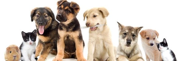 CuteAnimalShare Profile Banner