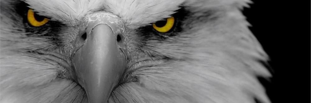 WDHS EAGLE FOOTBALL banner