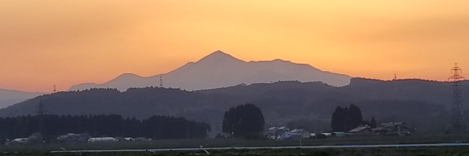 AVIREX_JAPAN's profile banner image