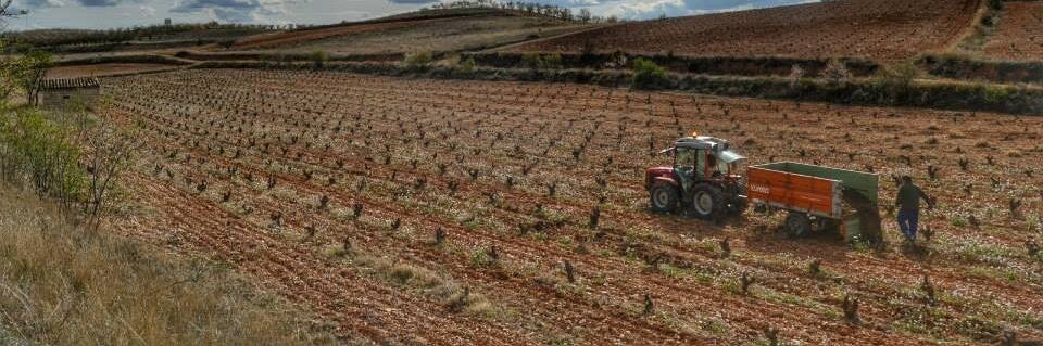 Augusta Bilbilis banner