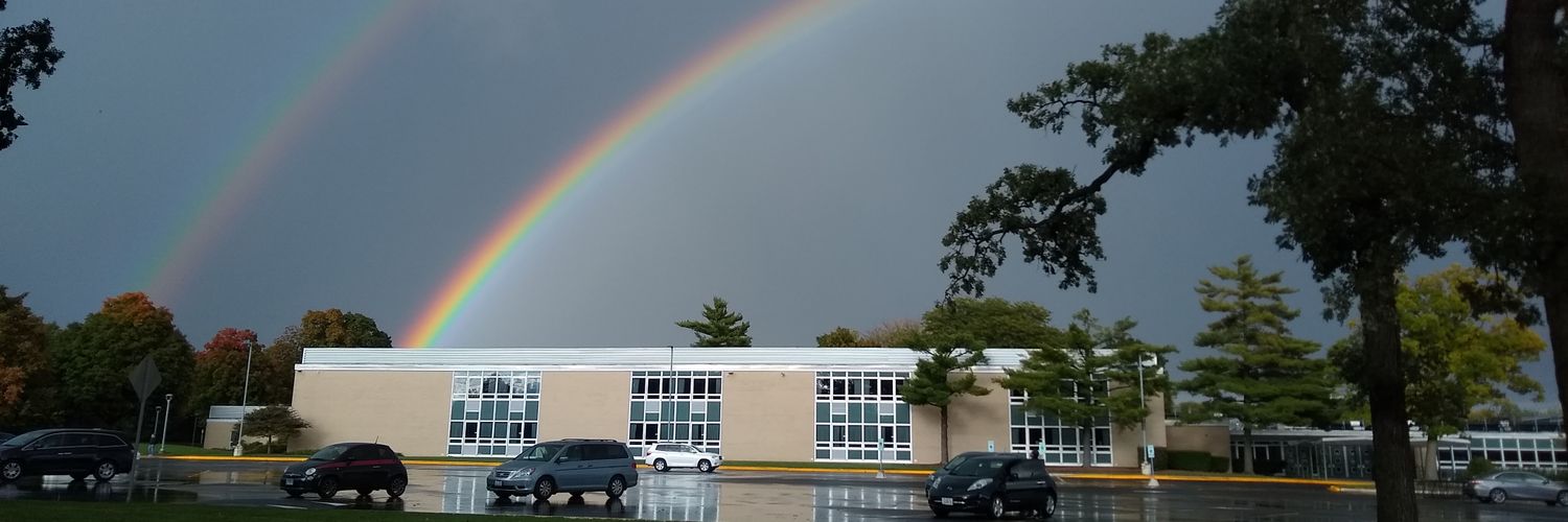 Laura Bjankini banner