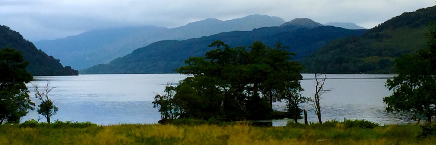imgreig's profile banner image