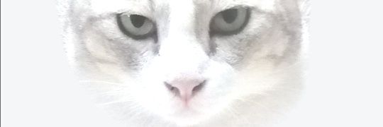 静雯Benny_Jump banner