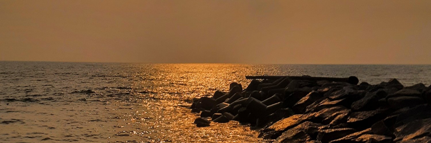 TheNicheant's profile banner image