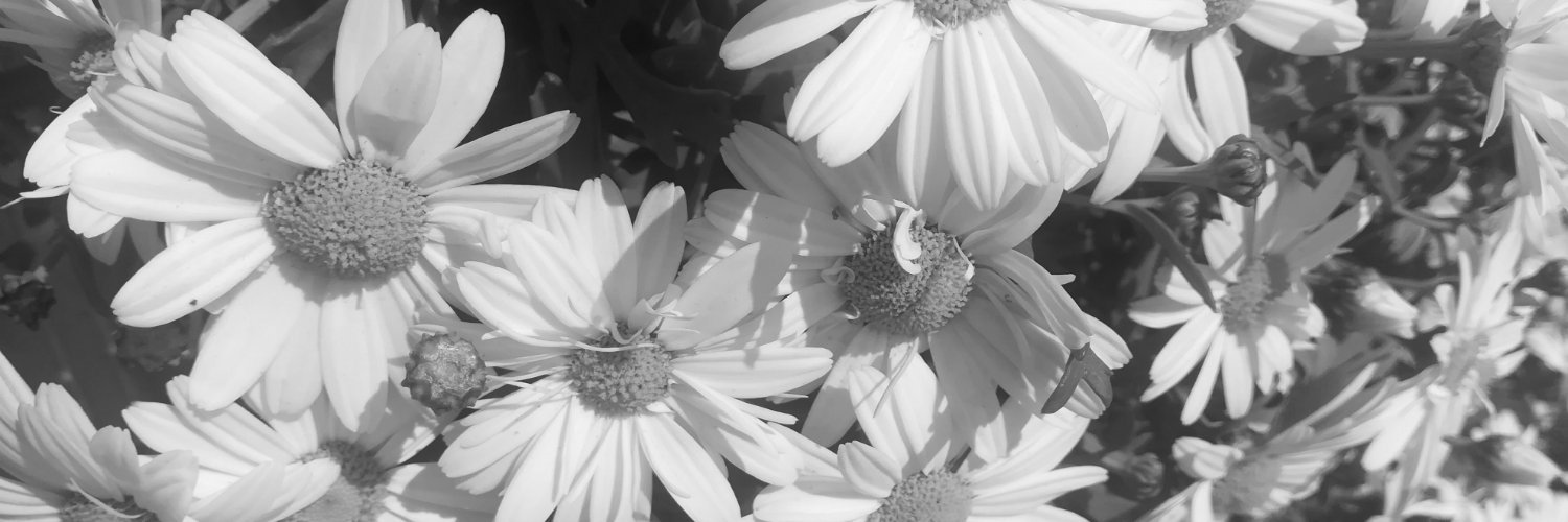 IsabelHappy02's profile banner image