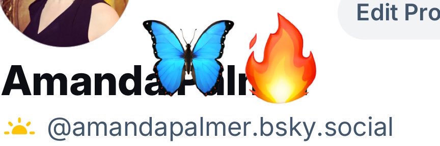 Amanda Palmer 🎹 banner
