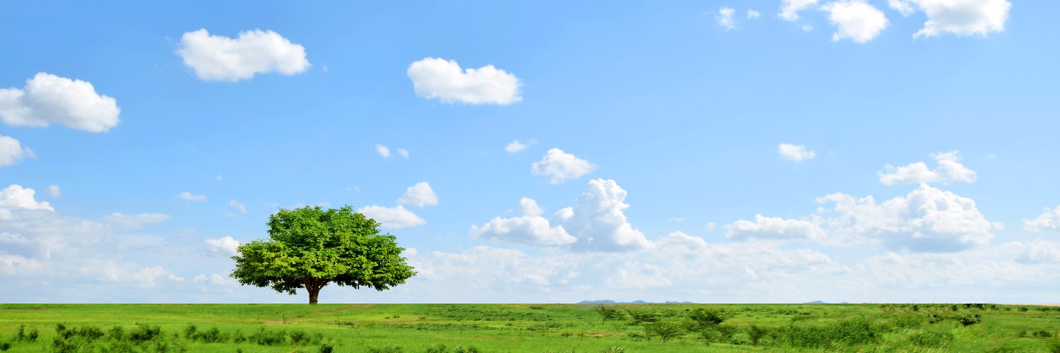 mediyell's profile banner image