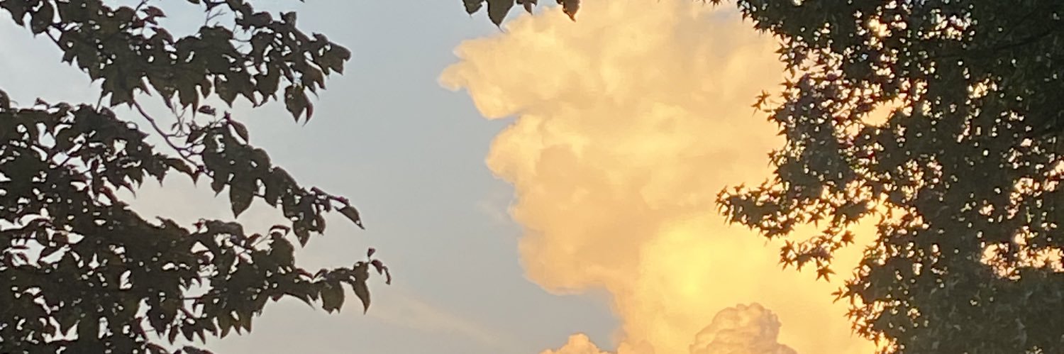BkstacyB's profile banner image
