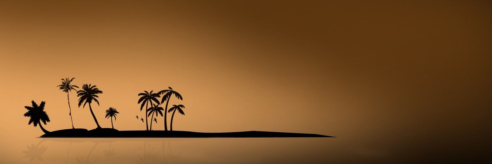 kallolpanda's profile banner image
