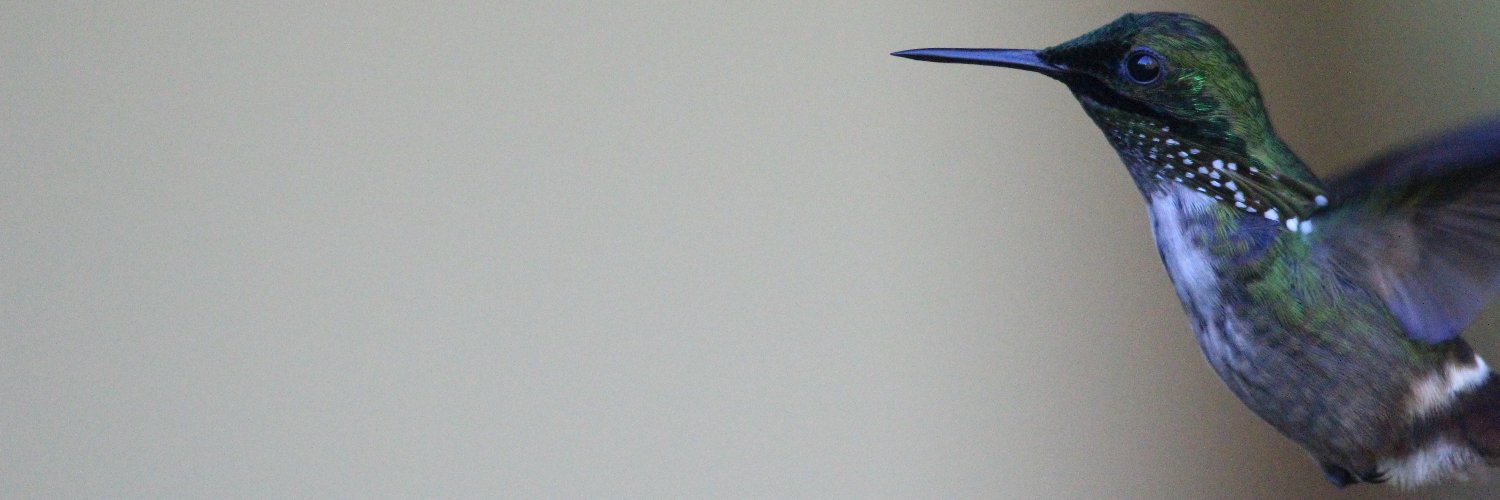 Ryan Terrill (he) banner