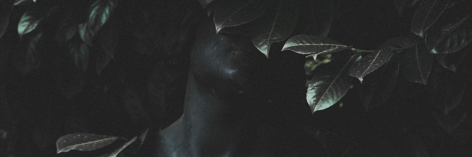 itshalva_'s profile banner image