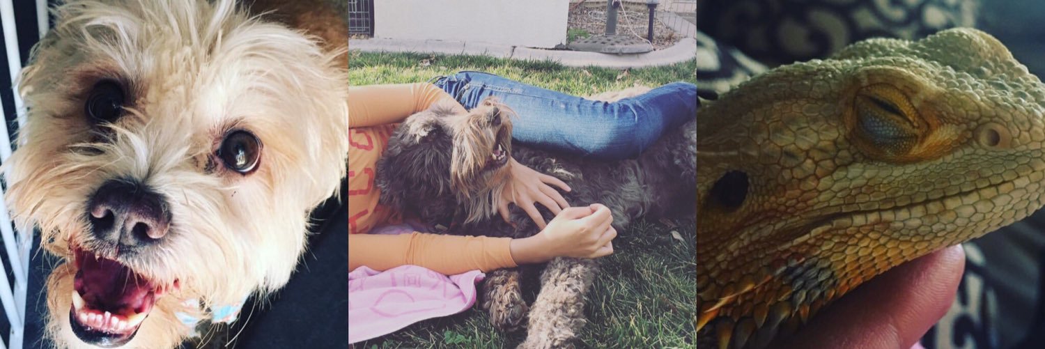 JazzlynMead's profile banner image
