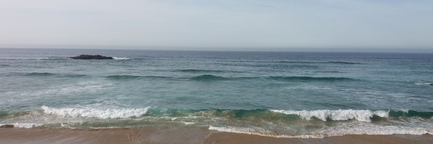 Reichelfdez97's profile banner image