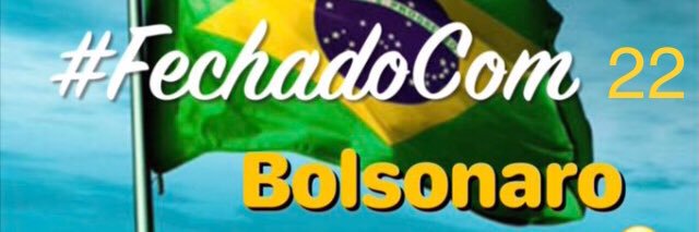 Dpaula banner