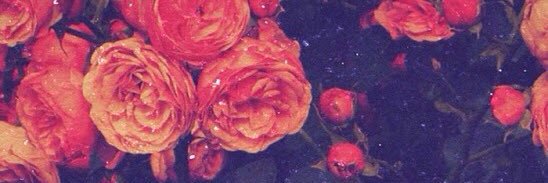BBarbieUD's profile banner image