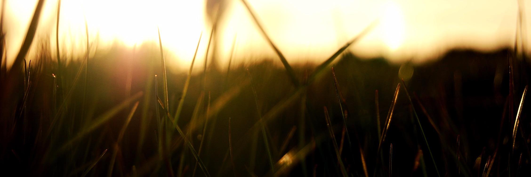 brontegregory's profile banner image