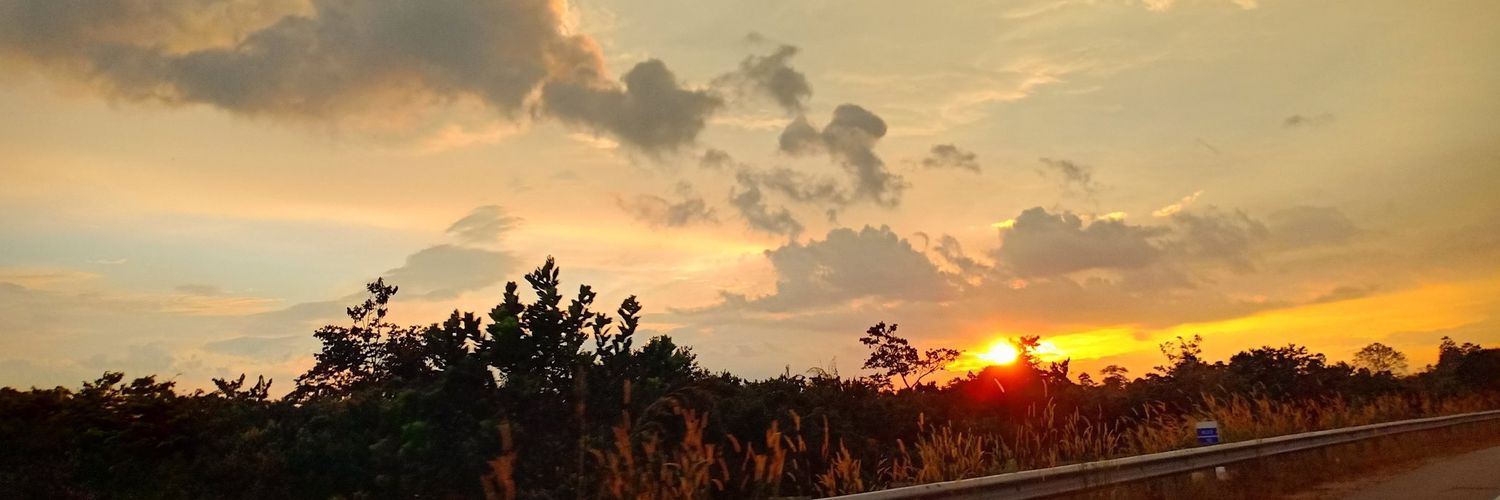 aimanova_'s profile banner image