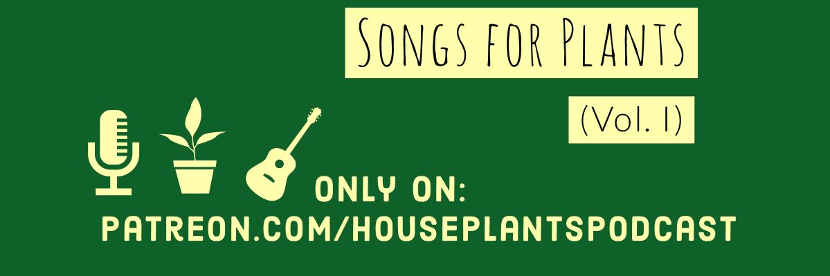 HousePlantsPod's profile banner image