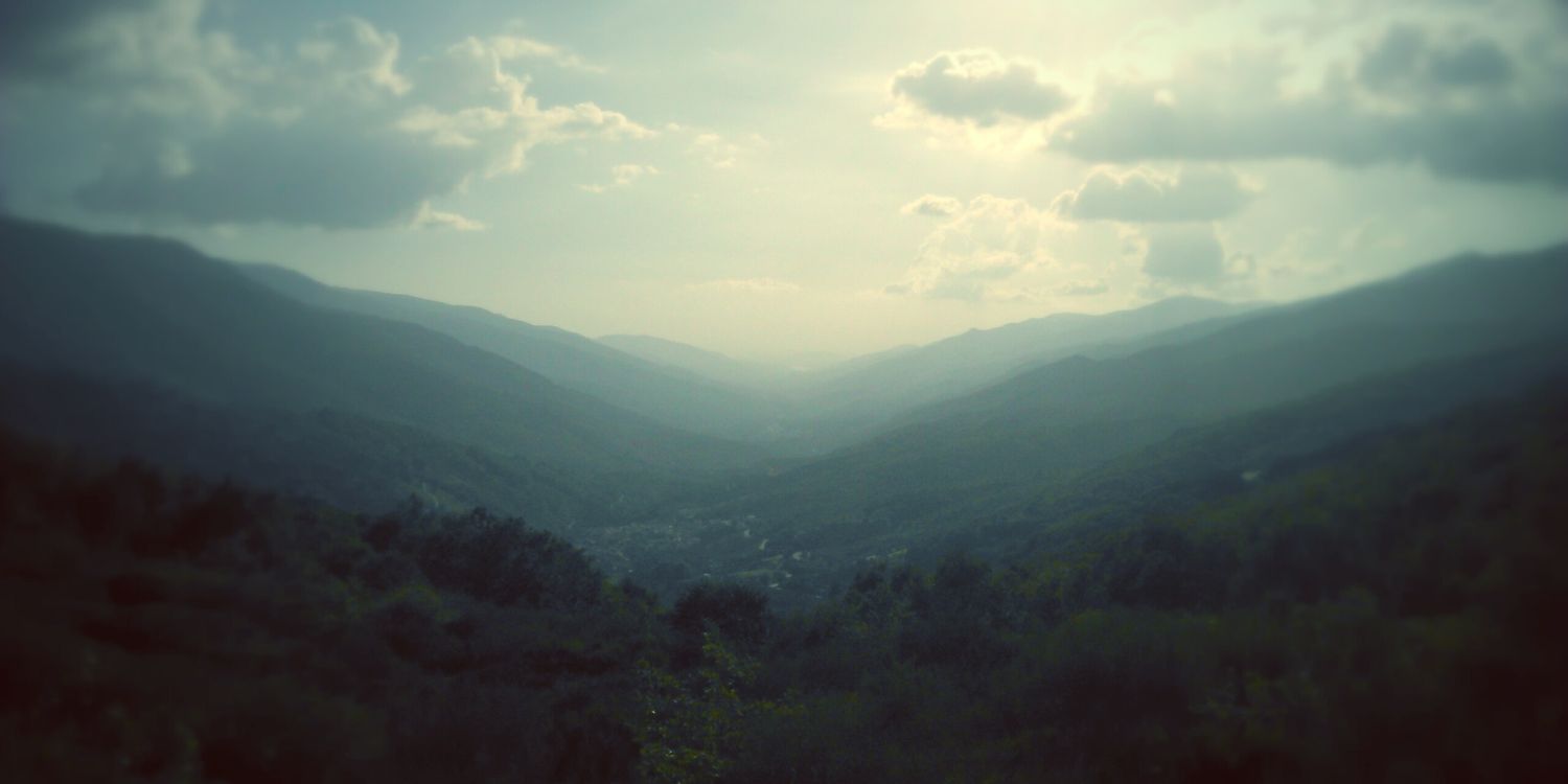 Alvaro_pela's profile banner image