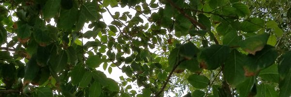 bat8798 Profile Banner