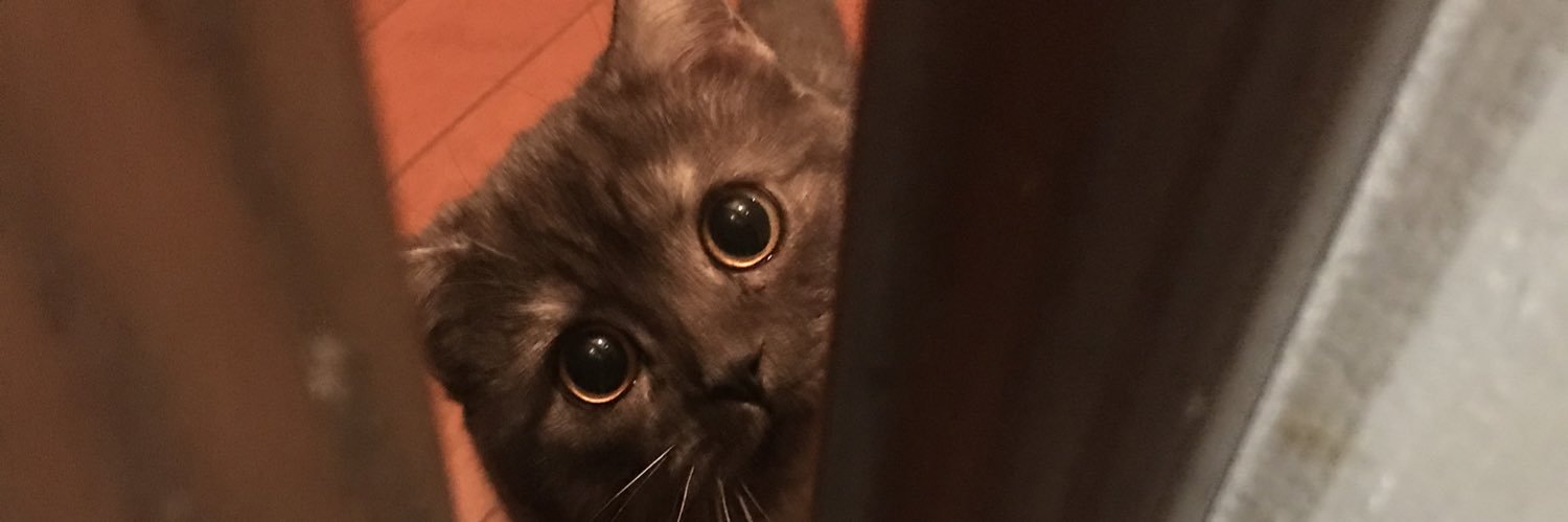 madamneko's profile banner image