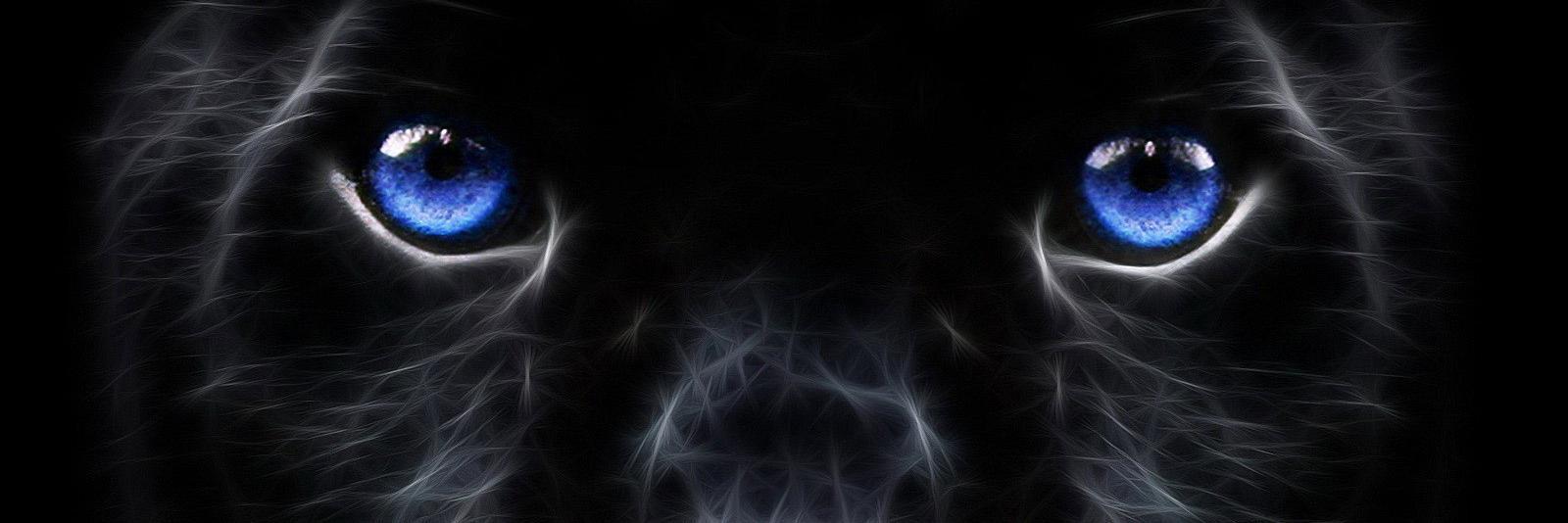 crystalq's profile banner image