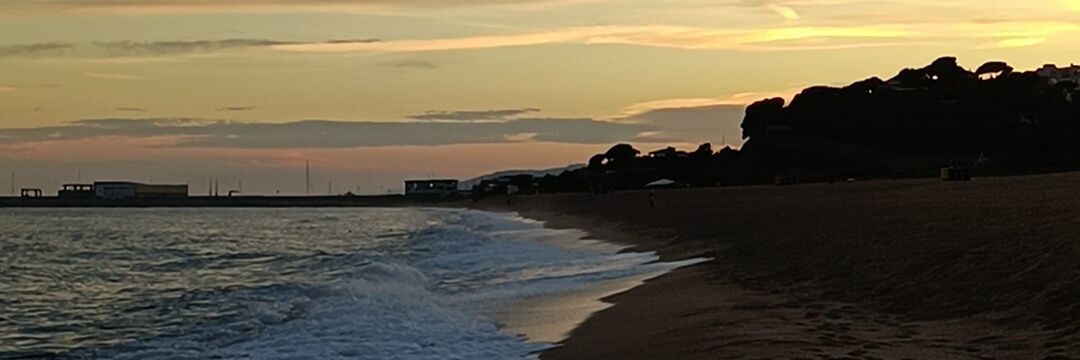 nacho montes👩‍🍳 banner