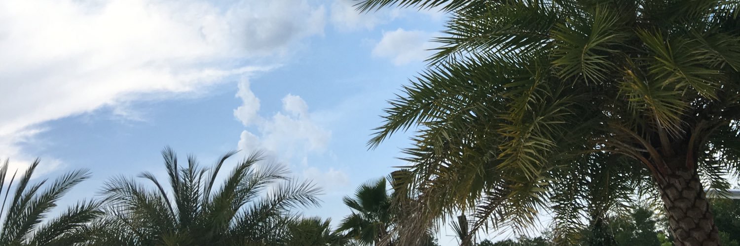 SheilaHeyes's profile banner image