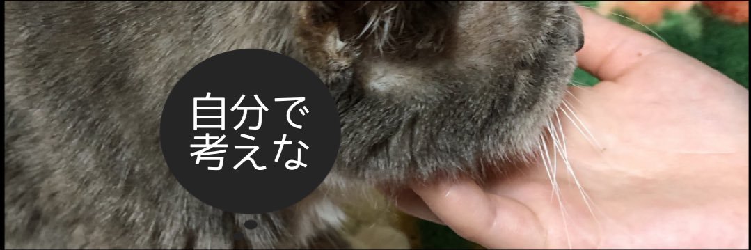 ottyeru's profile banner image
