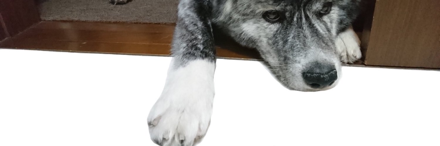 Ttyoknw's profile banner image