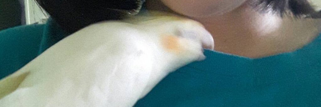 CaptainLongCoc2's profile banner image