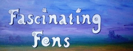 Fascinating Fens banner