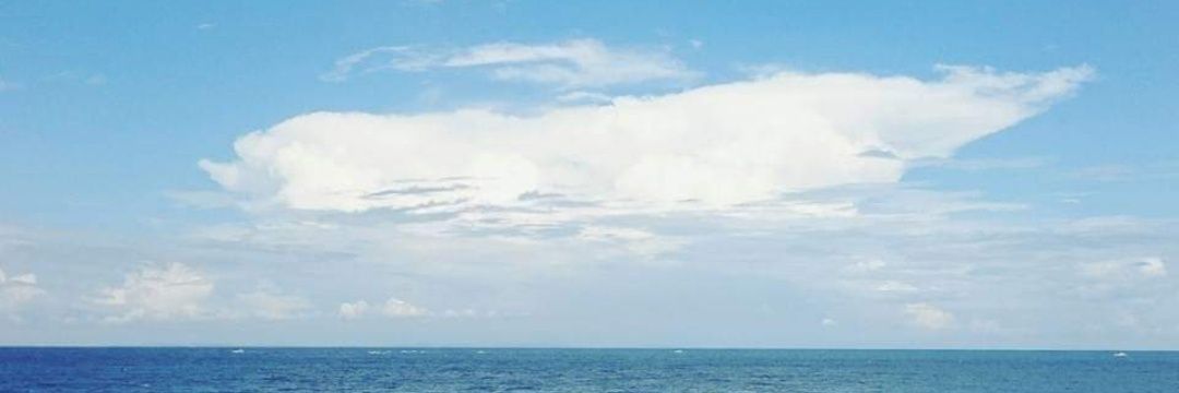 正義の味方mj.com banner