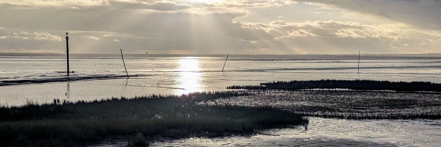 Stefdebx's profile banner image