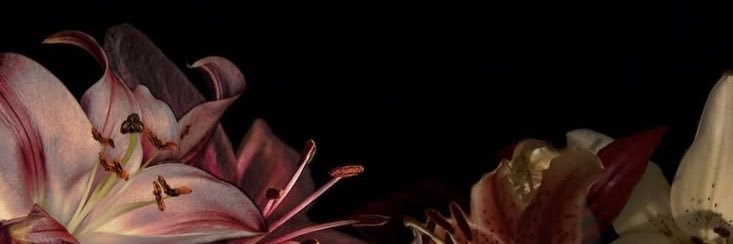 ari banner