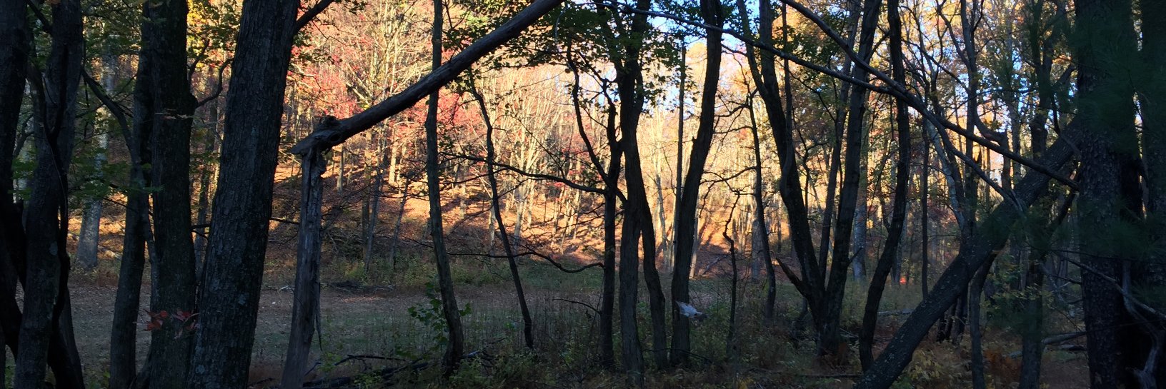 OriginalHotRod's profile banner image