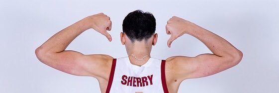 SAM SHERRY banner
