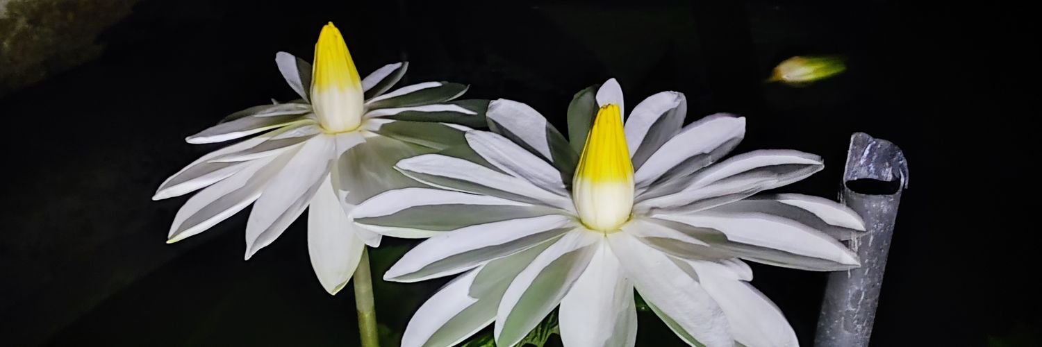 rgmanu's profile banner image