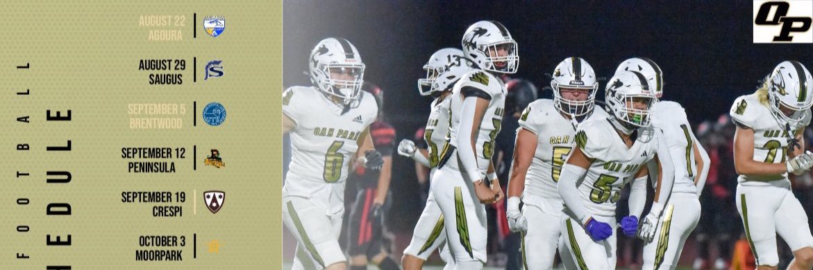 Danny Schneider banner