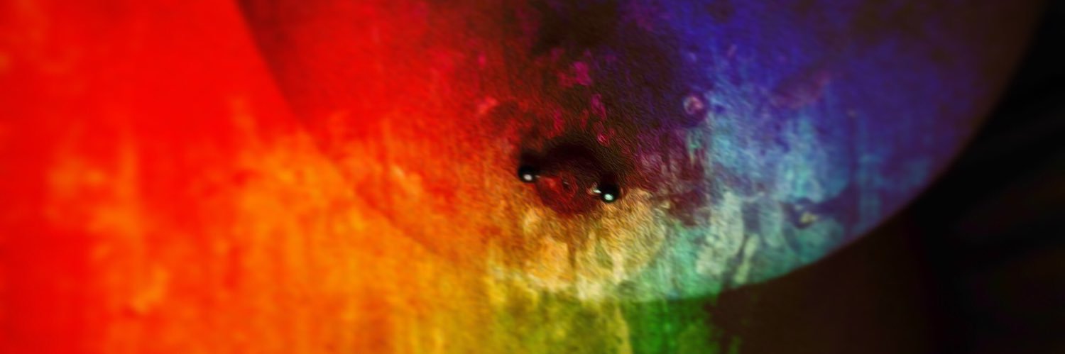 Sylv1alouest2.0 banner