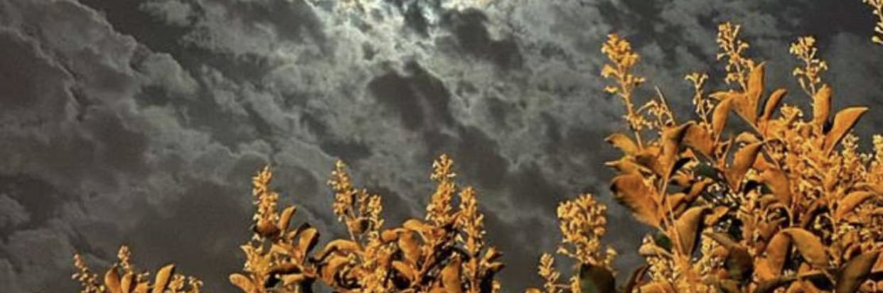 hayon4646's profile banner image