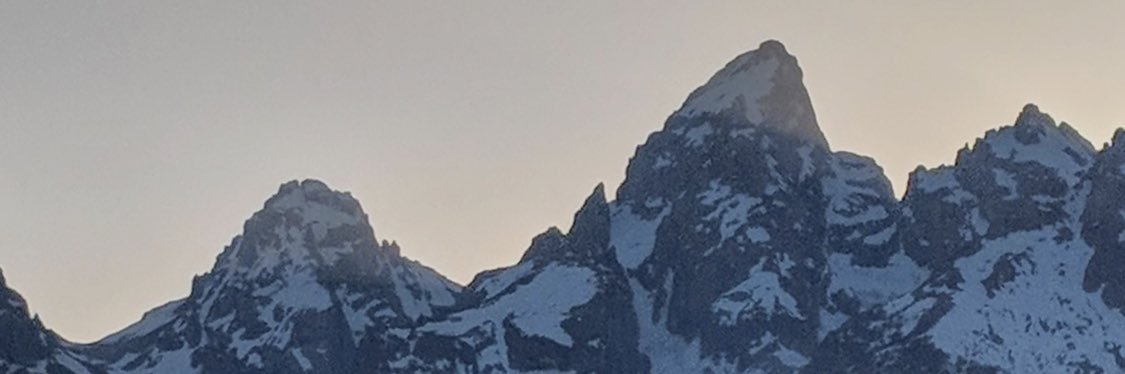 Cam Graham banner