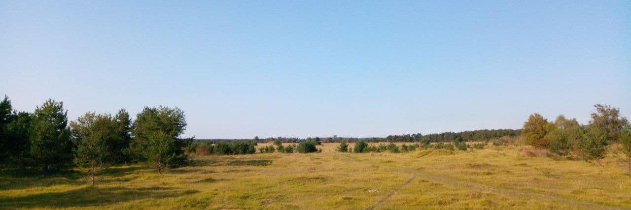 Patrick Klösel (@patrickkloesel.bsky.social) banner