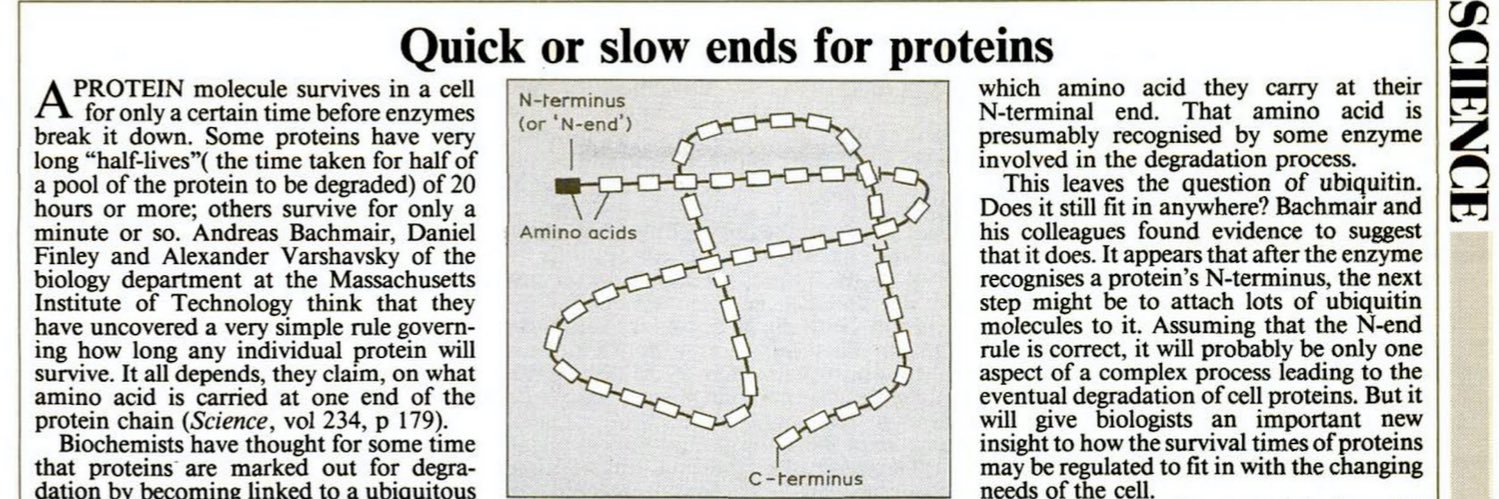 ISPT_ProteinTermini banner