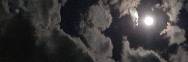сержант гав banner