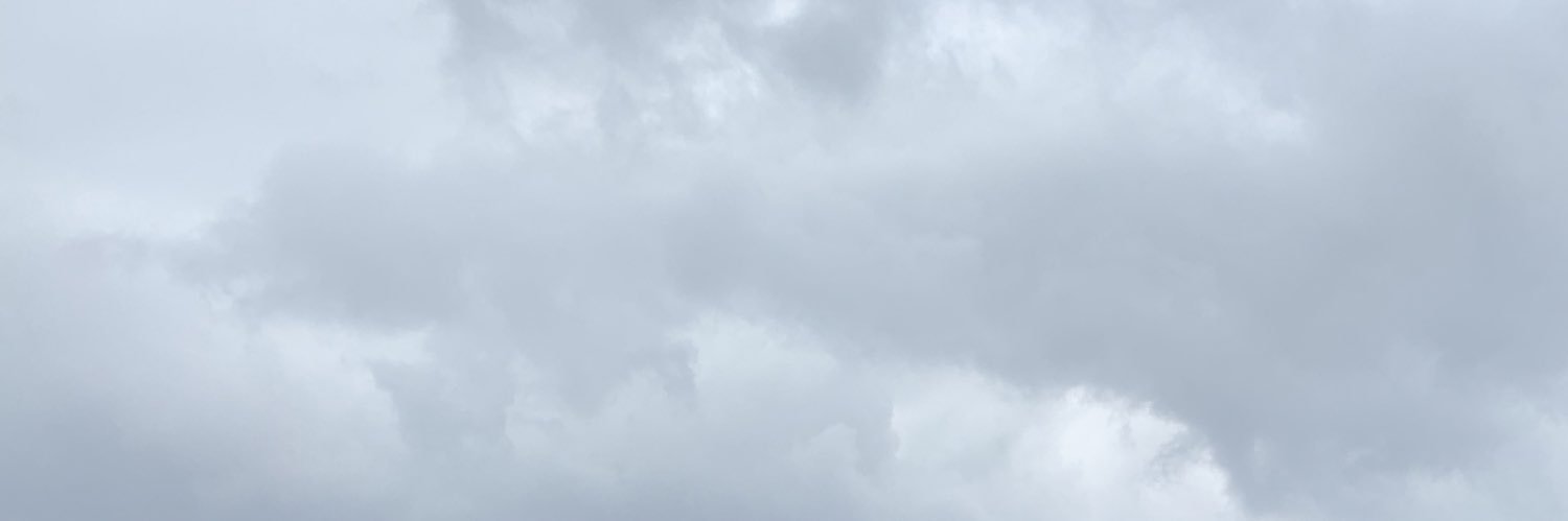 Roco ☁️ banner