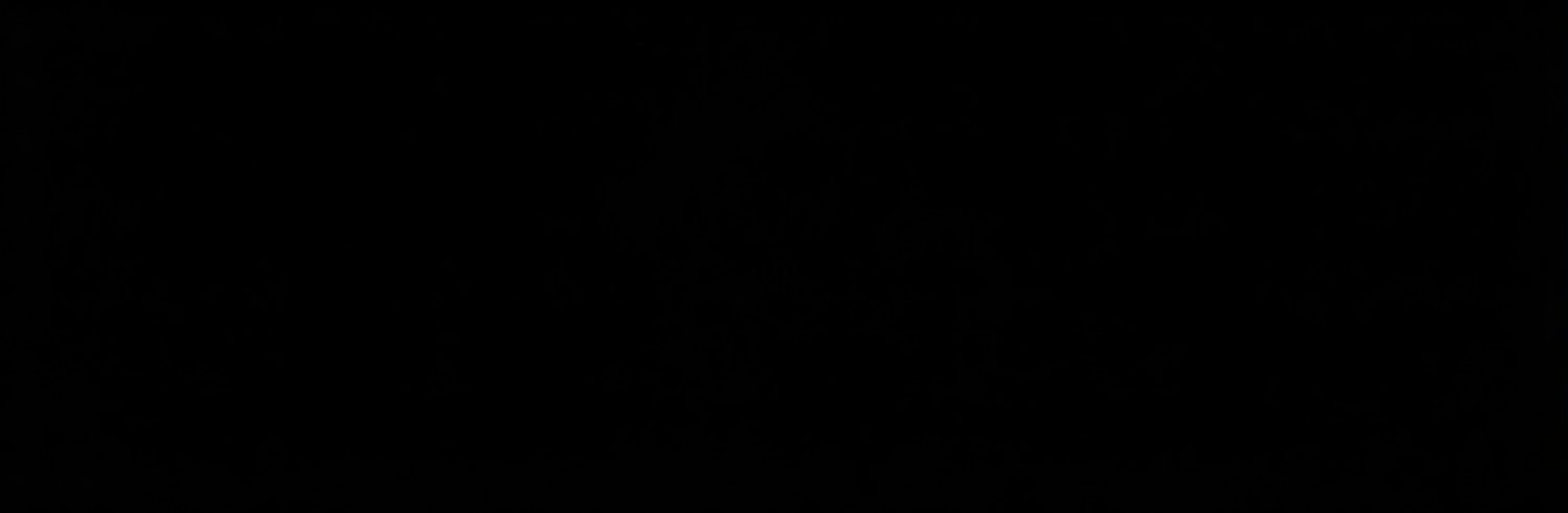 𝘋𝘢𝘯𝘪𝘦𝘭 banner